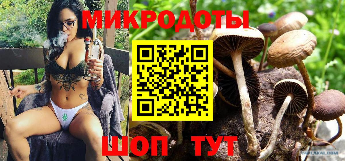 Псилоцибиновые грибы GOLDEN TEACHER  Вход с VPN  Реж 